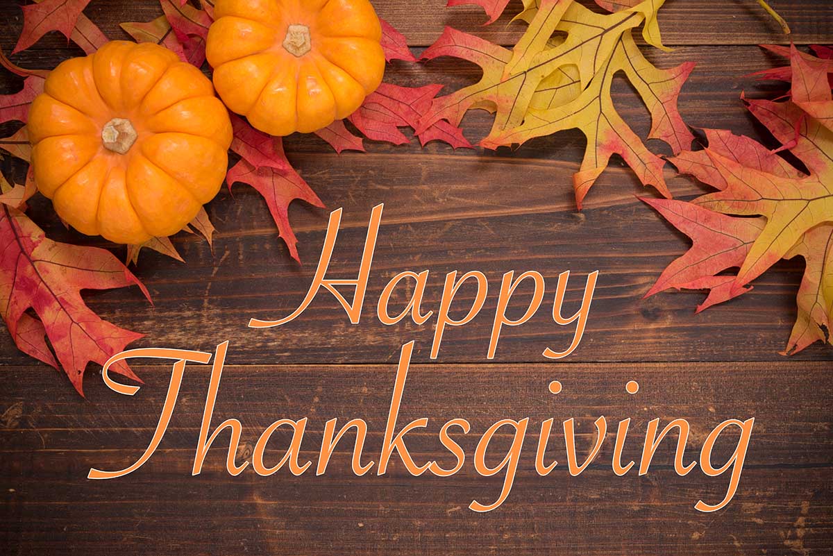 9 MustDo Thanksgiving 2023 Activities. Seerootoys